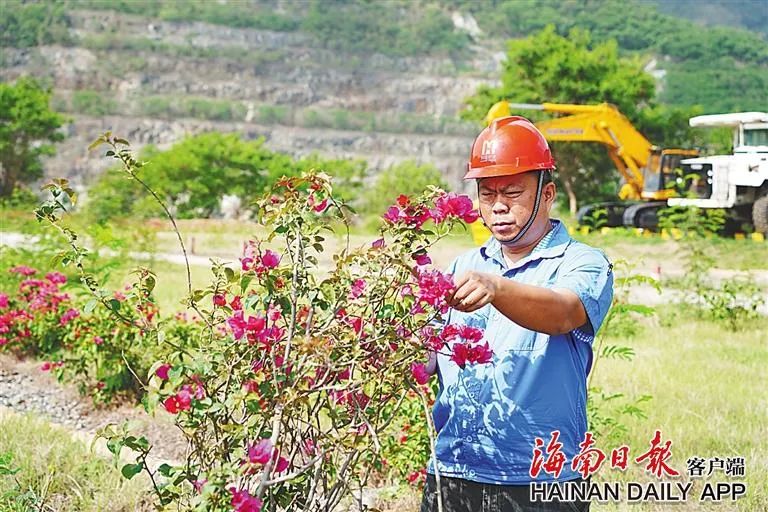 米乐（中国大陆）官方网站-MILE|米乐平台
这座矿山，为何这么绿？4.jpg