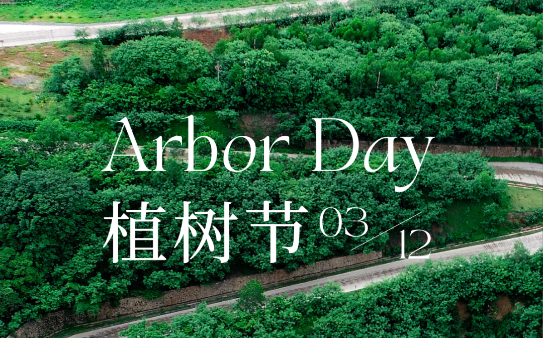 植树节 | 米乐（中国大陆）官方网站-MILE|米乐平台
米乐（中国大陆）官方网站-MILE|米乐平台的绿色画卷