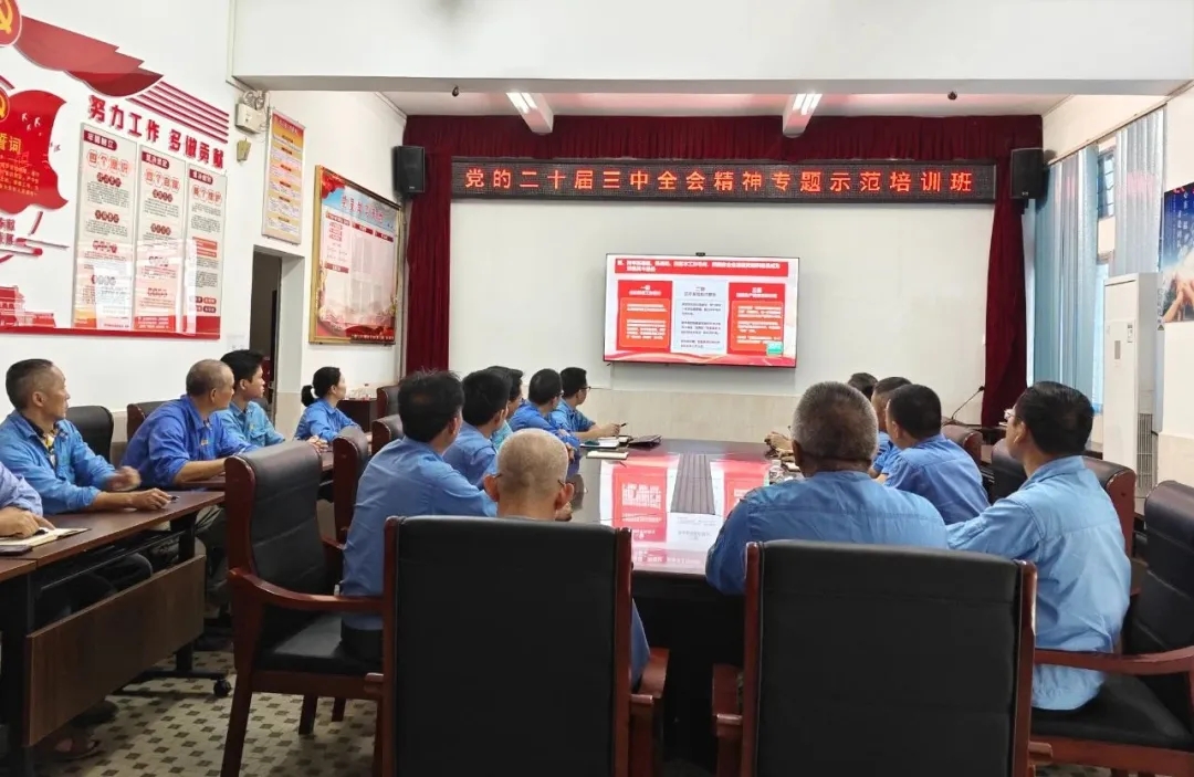 米乐（中国大陆）官方网站-MILE|米乐平台
米乐（中国大陆）官方网站-MILE|米乐平台组织观看学习贯彻党的二十届三中全会精神专题示范班课堂视频直播